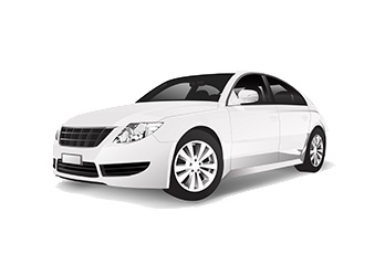 Auto in Vendita/Export